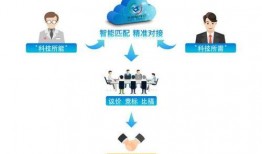 虹云大爆料视频,视频内容深度解析
